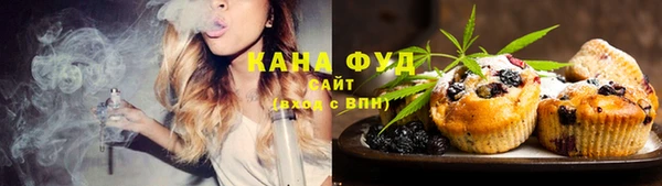 индика Верея