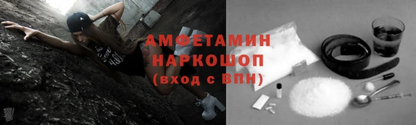 индика Верея