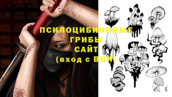 индика Верея