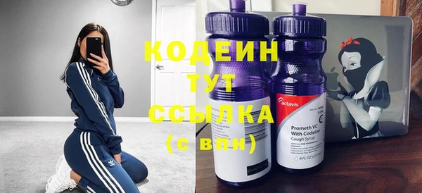 индика Верея