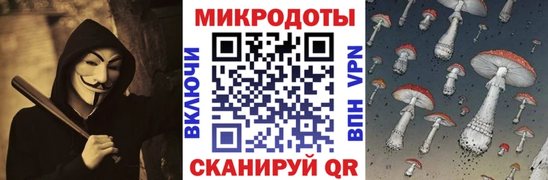 Псилоцибиновые грибы Psilocybe Пикалёво
